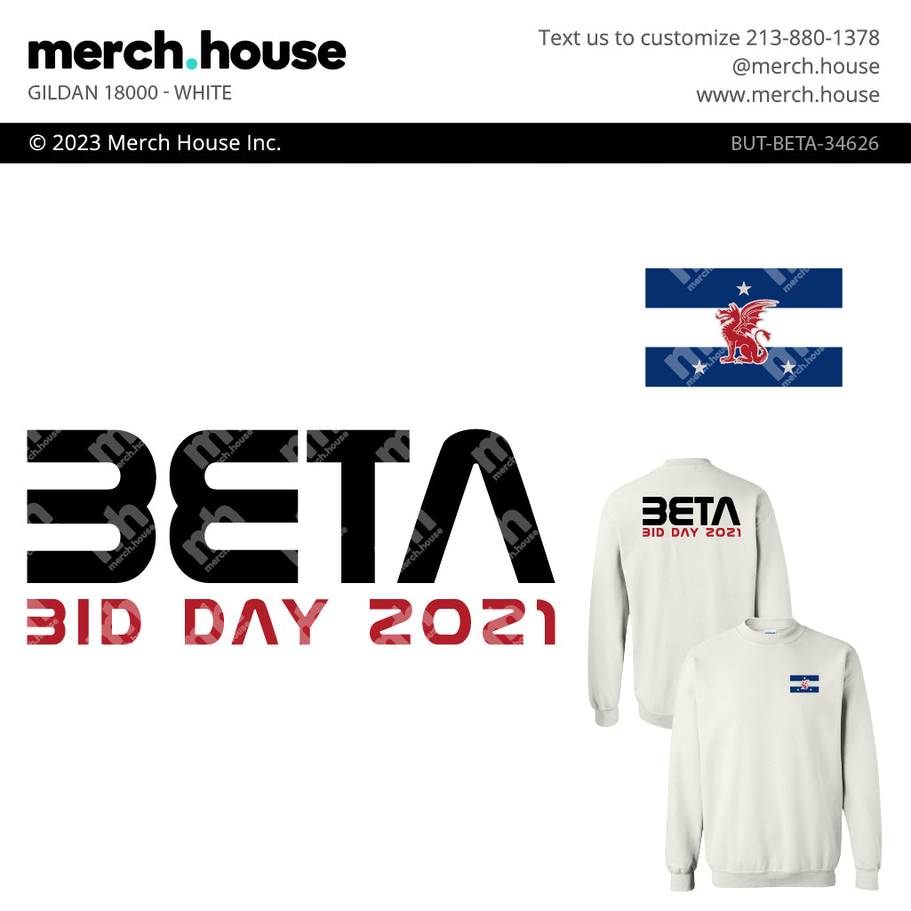 Beta Theta Pi Bid Day NASA Font Shirt