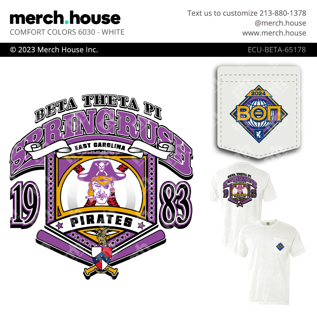 Beta Theta Pi Rush Shirt Purple Pirate