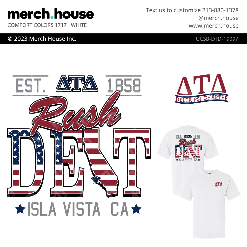 Delta Tau Delta Rush Shirt USA State Outline