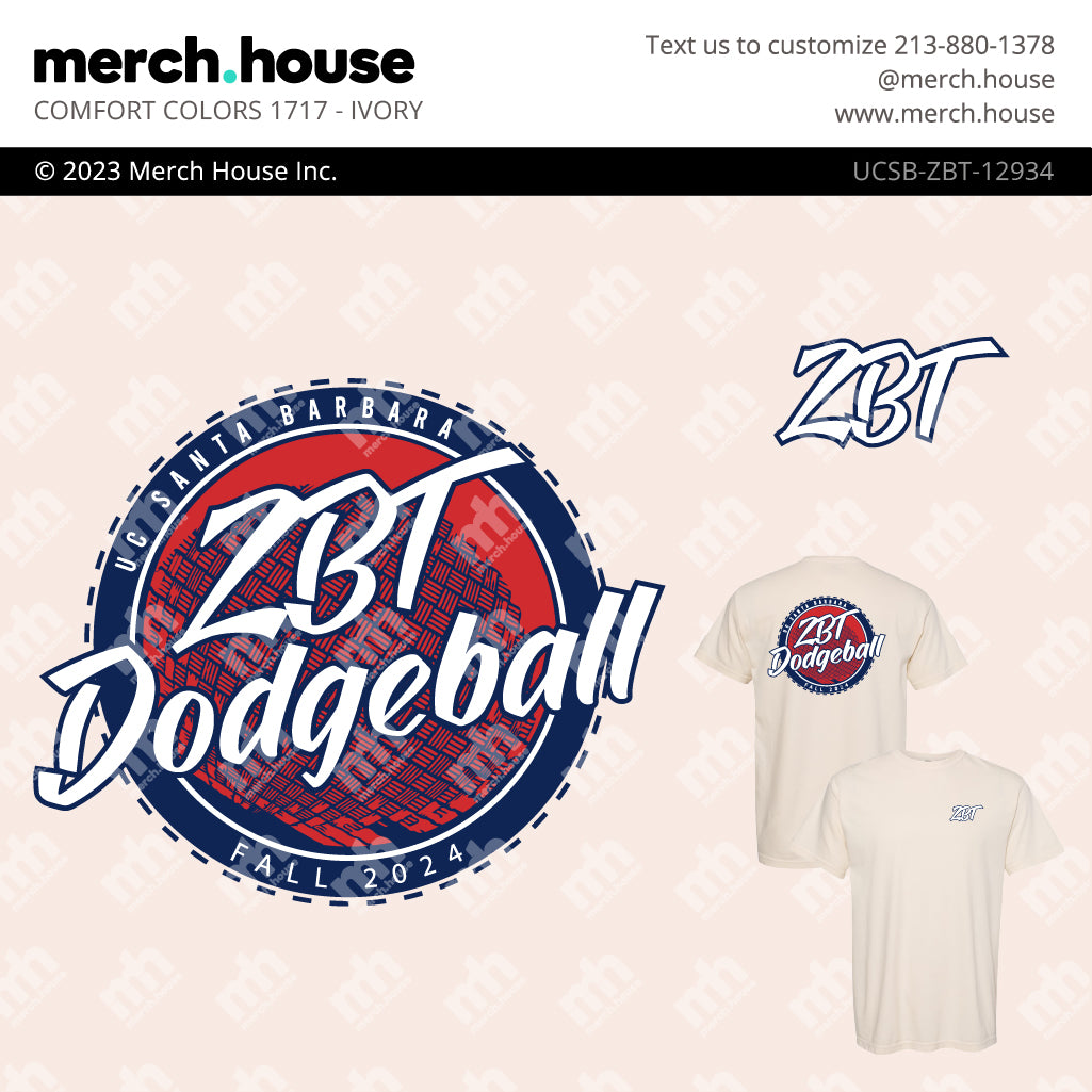 Fraternity Philanthropy Dodgeball Shirt